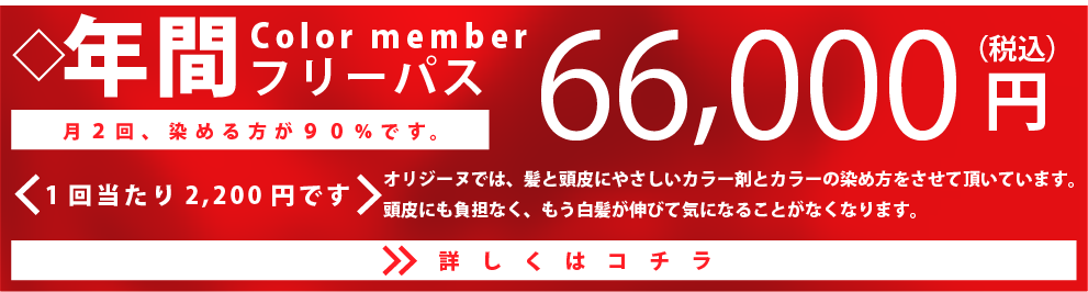 カラーメンバー募集