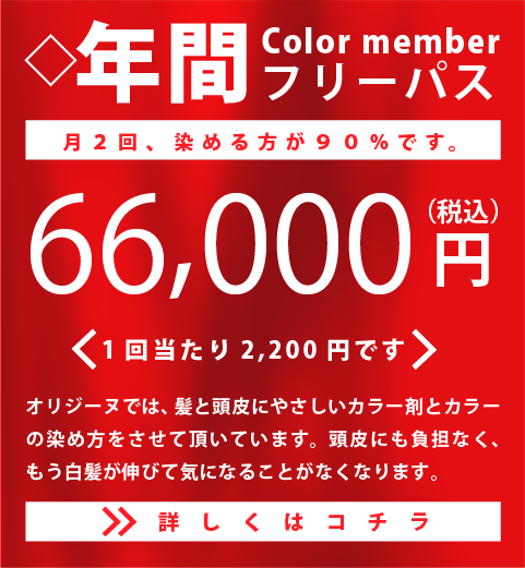 カラーメンバー募集